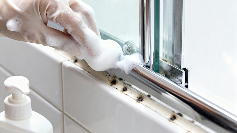 A gloved hand scrubbing a shower track with mold spots and mildew on it