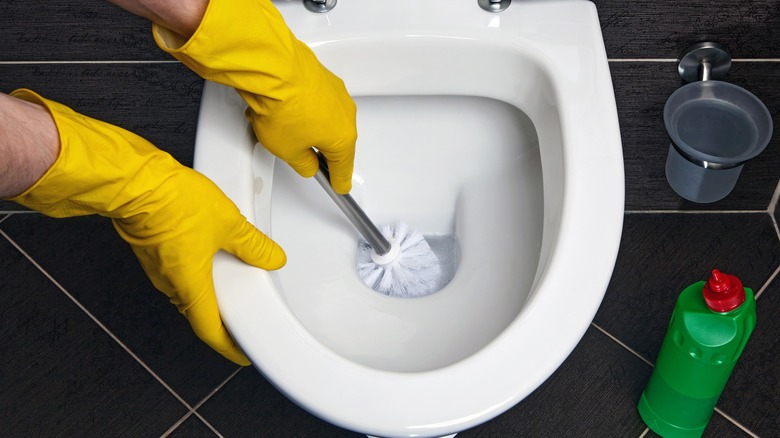 Person cleaning toilet