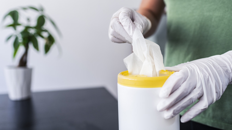 Person taking out disinfecting wipe from container