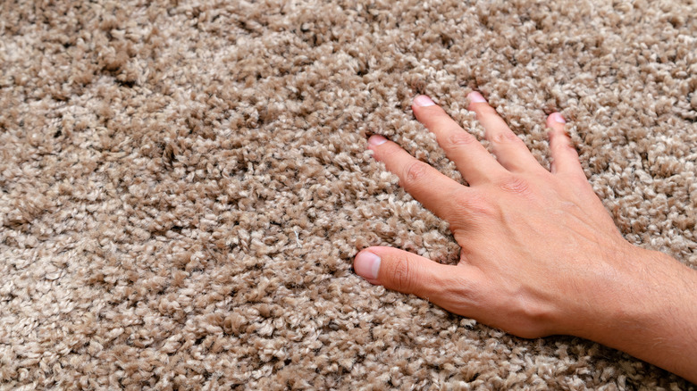 touching soft carpet 