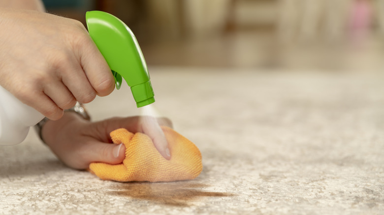 Close-up of rug stain treatment