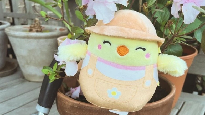 squishmallow in garden pot