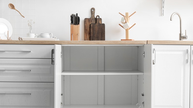 Shelves under kitchen counter top