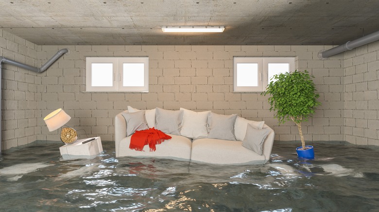 flooded basement