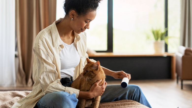 Person lint rolling clothes while sitting with cat