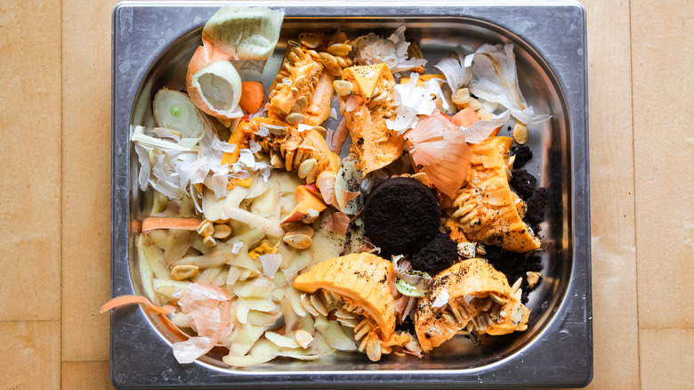 pumpkin seeds in compost pile