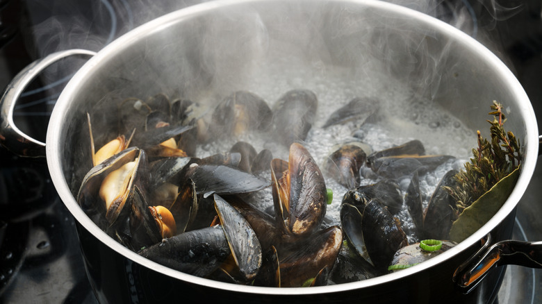 boiling mussels in pot