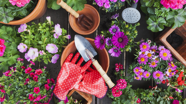 A pair of red gardening gloves resting on top of a pot