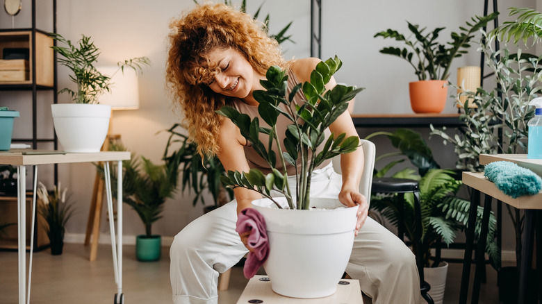 Cleaning a plant pot