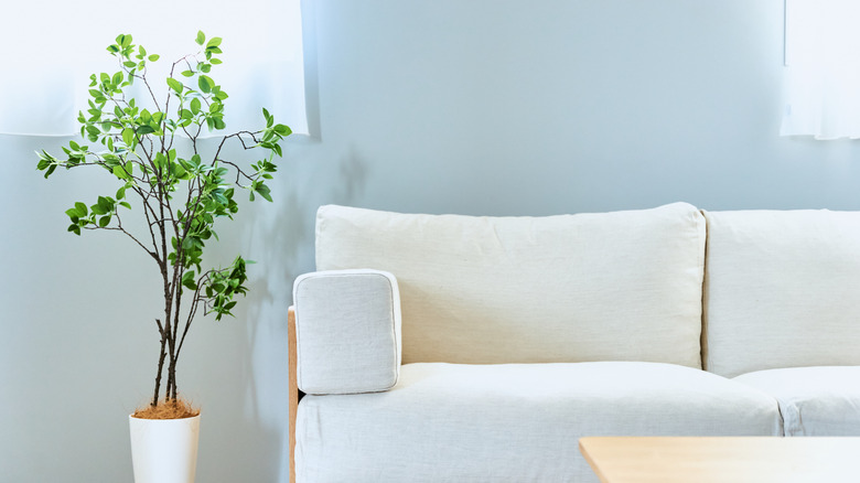 A living room with a white couch and a wall painted powder blue