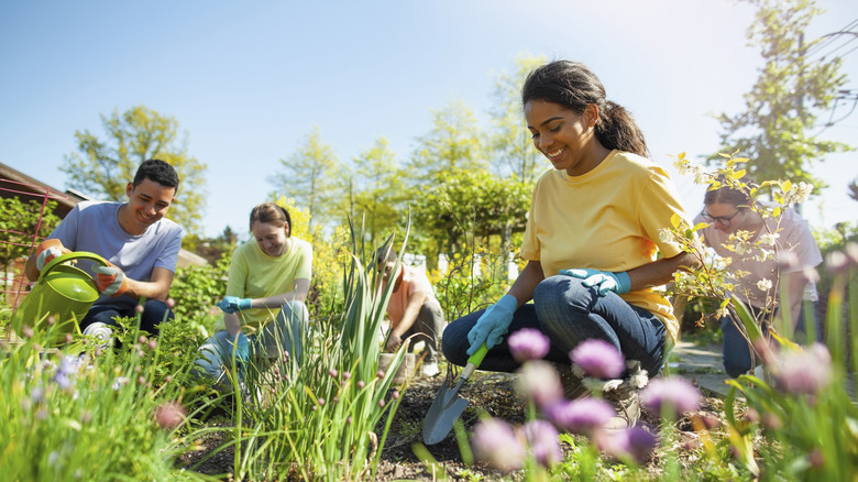 People planting flowers in a backyard