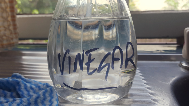 Jar of white vinegar