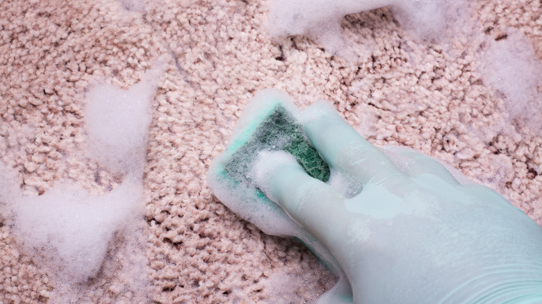 person scrubbing the carpet