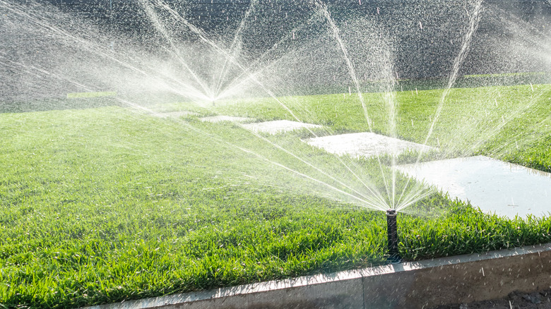 Sprinkler system running on a lawn