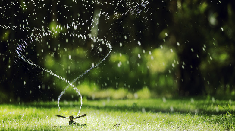 Water going through a lawn sprinkler