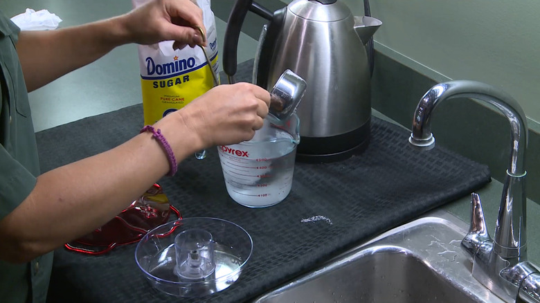 Woman makes and mixes homemade hummingbird nectar using sugar and water