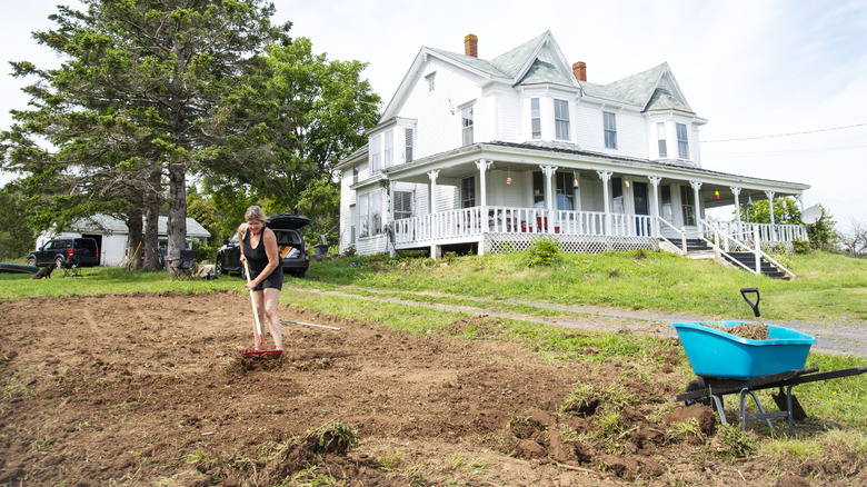 seeding new patch of lawn