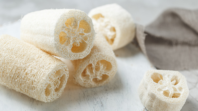 Pile of luffa sponges