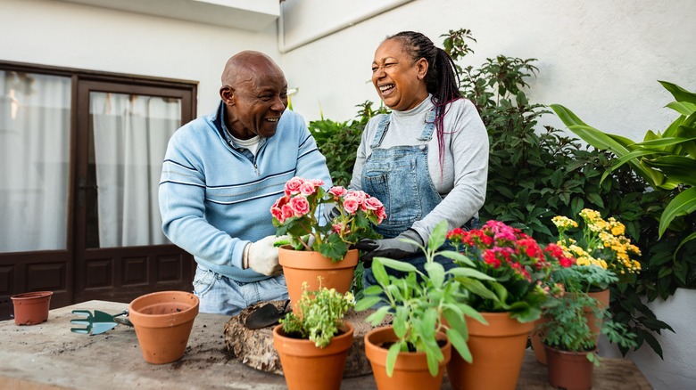 Gardeners plant flowers in pots