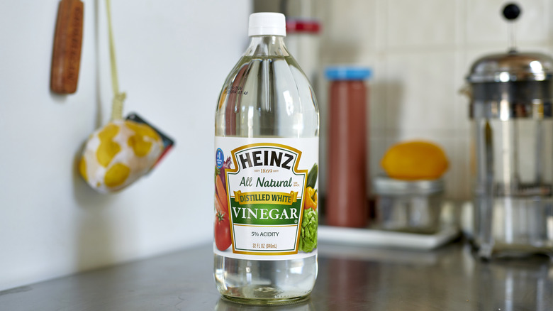 Bottle of white distilled vinegar