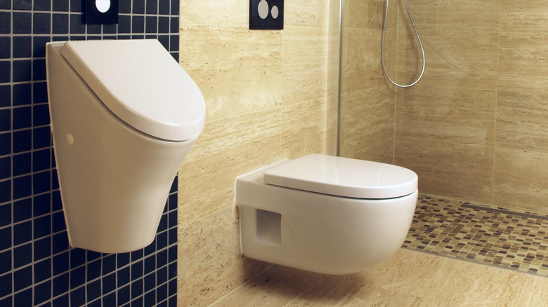 Urinal and toilet