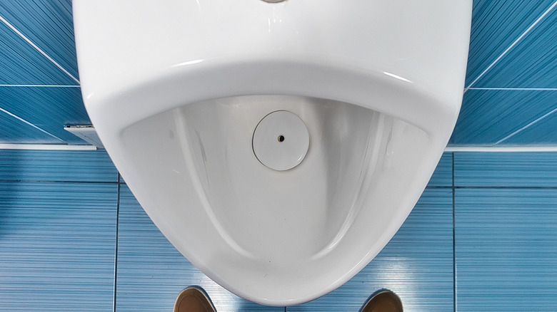 Top view of urinal