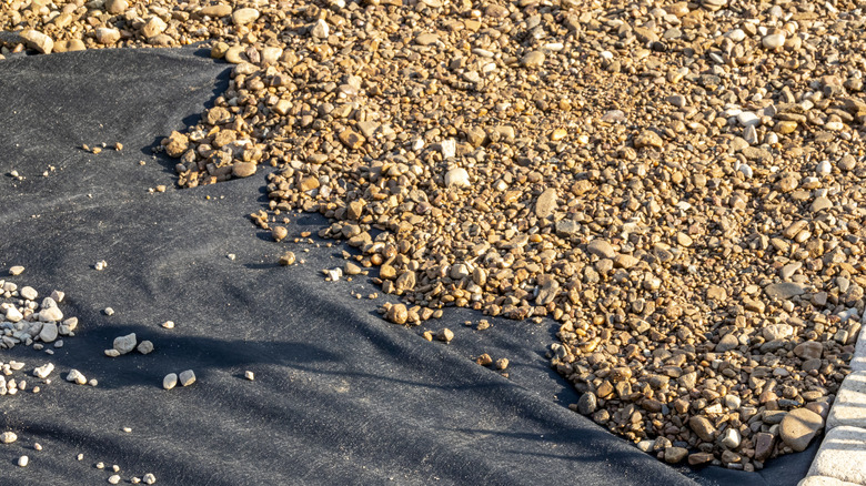 Gravel spread on landscaping fabric