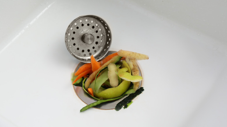 vegetables in garbage disposal