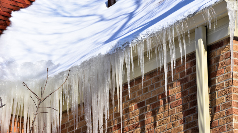 Ice dam