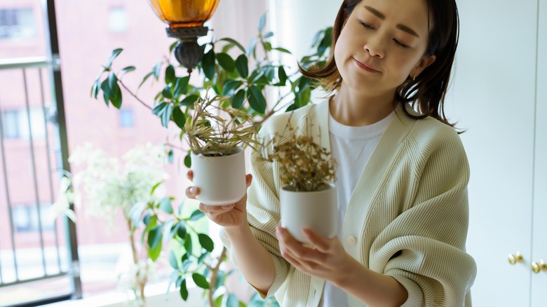 woman sad holding wilted plants 