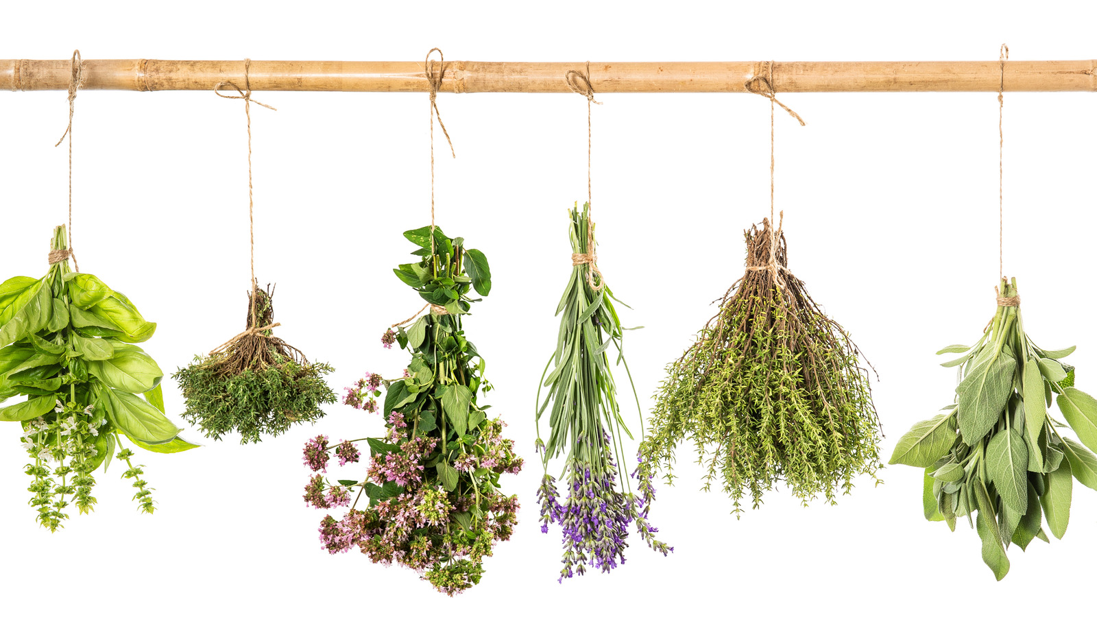 Why You Should Dry Garden Herbs In Your Car