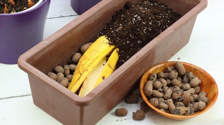 natural materials in planters