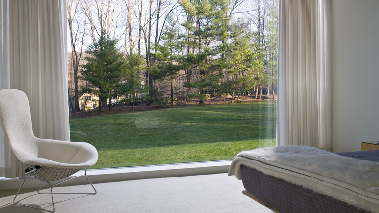 Clean window
