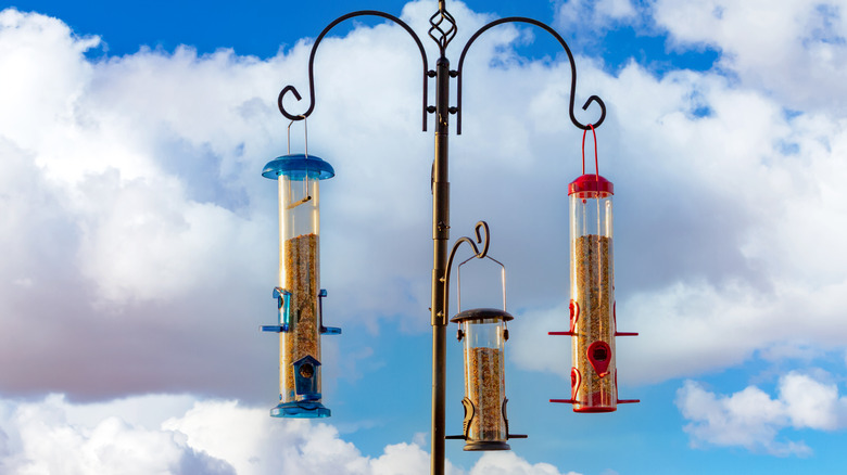 Bird feeders hanging on pole