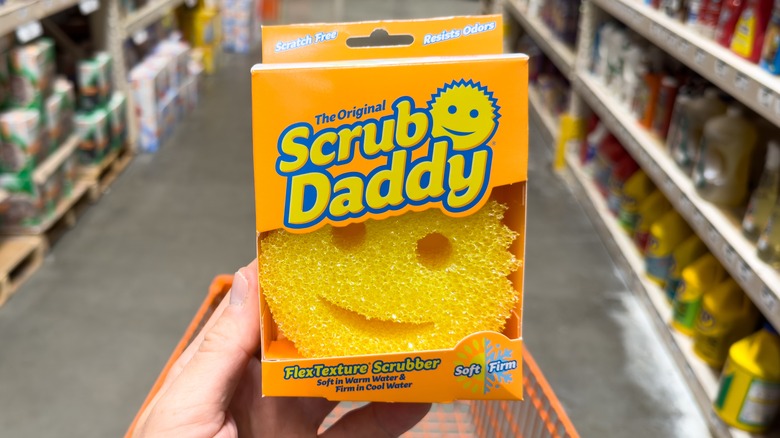 holding Scrub Daddy in store