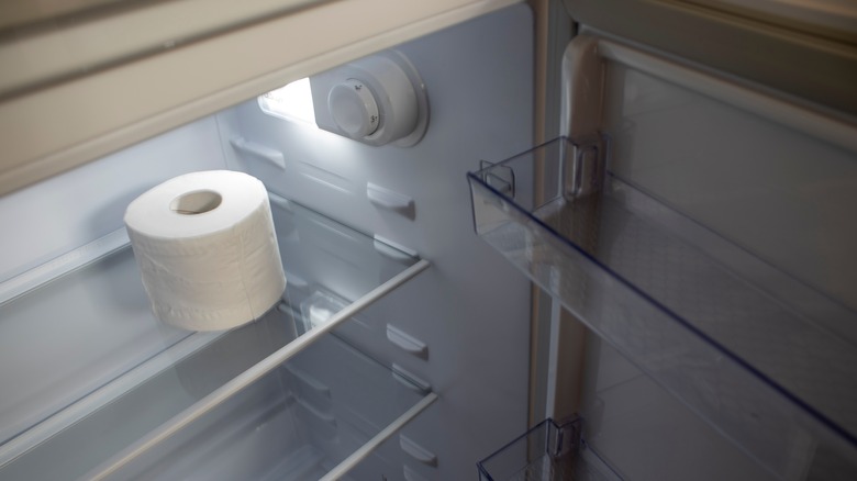 toilet paper roll in fridge