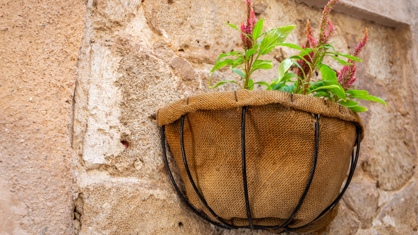 Why You Should Line Your Flower Pots With Burlap Before Planting