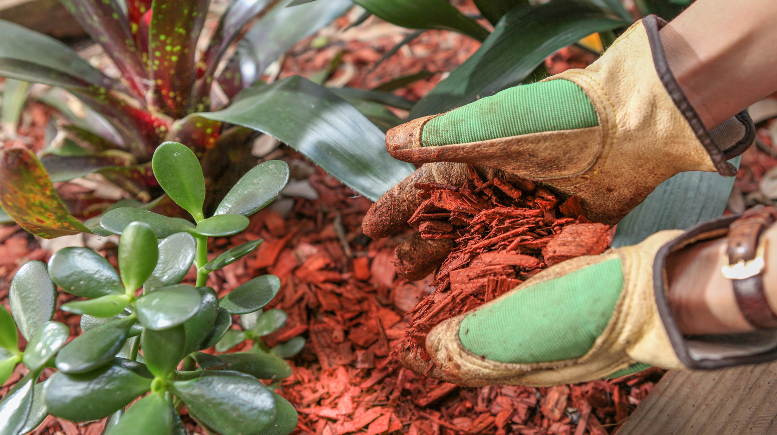 Why You Should Mulch Your Garden In Late Summer