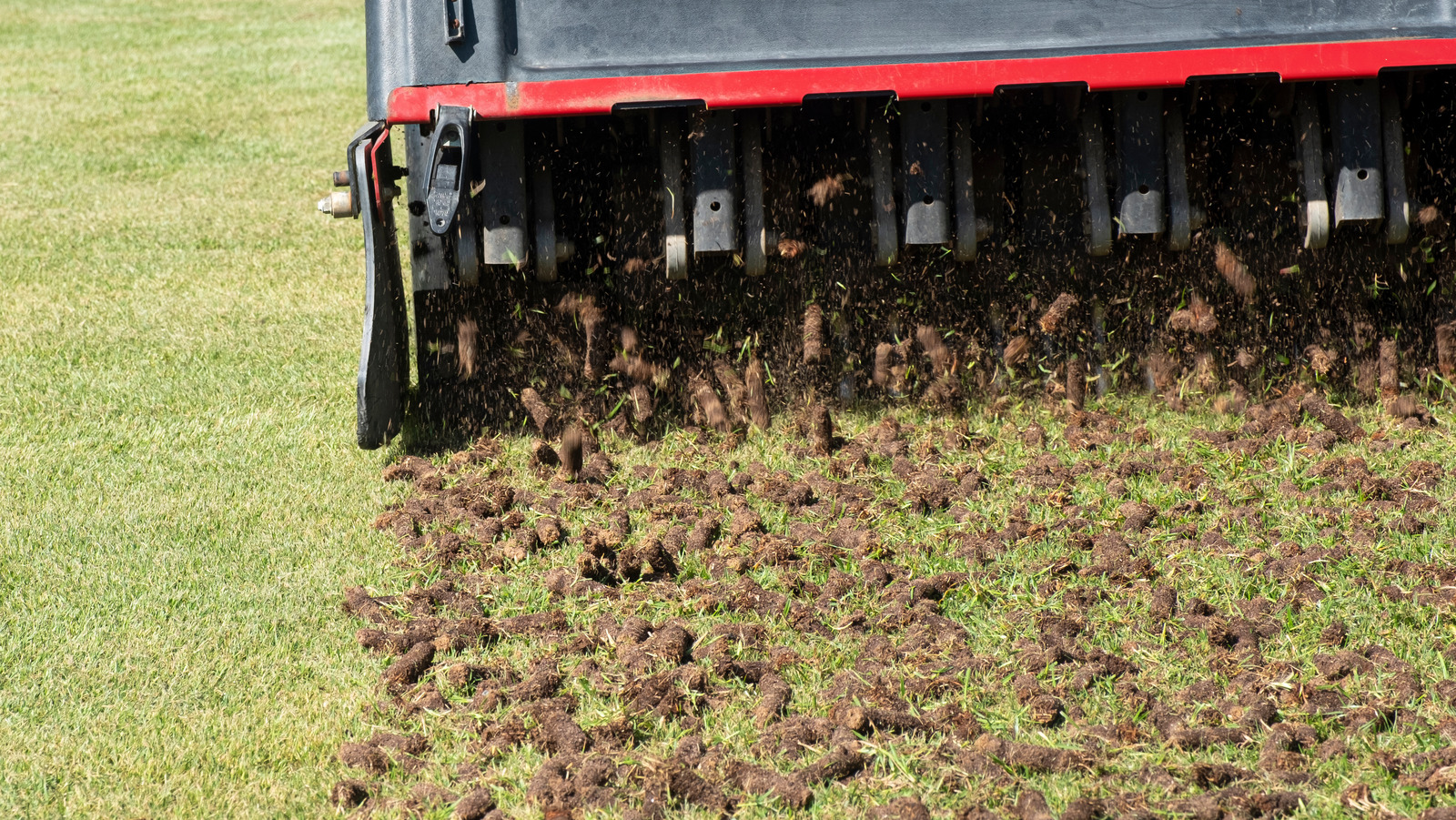Why You Should Never Rake Your Lawn After Aerating
