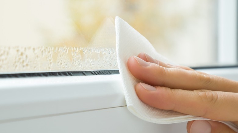 Hand wiping moisture from window frame using paper towel.