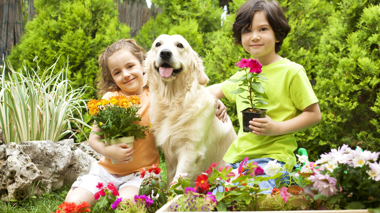 dog with children in garden