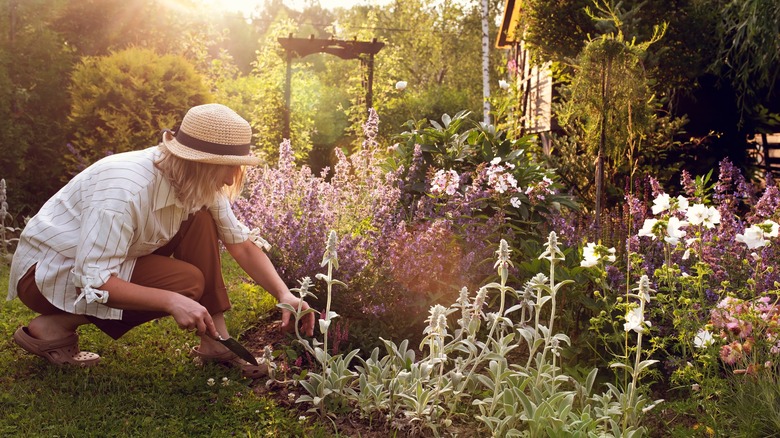 Woman gardening 