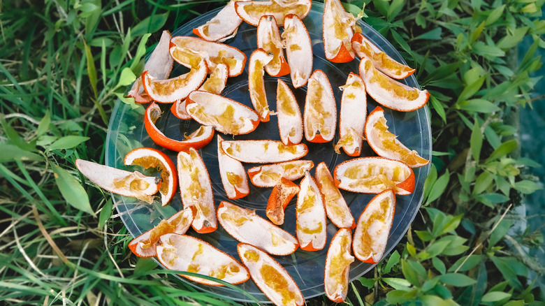 Orange peels in grass