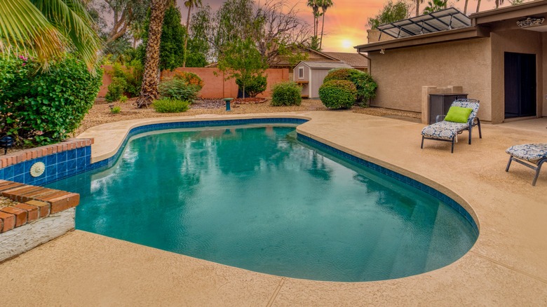 backyard swimming pool
