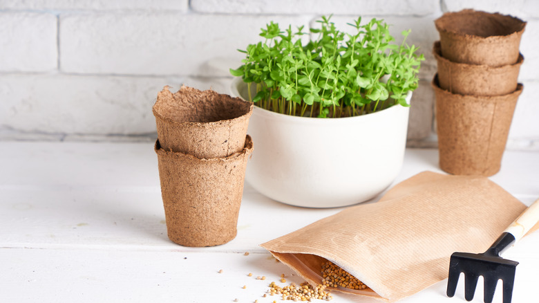 herbs pots tools seeds packet