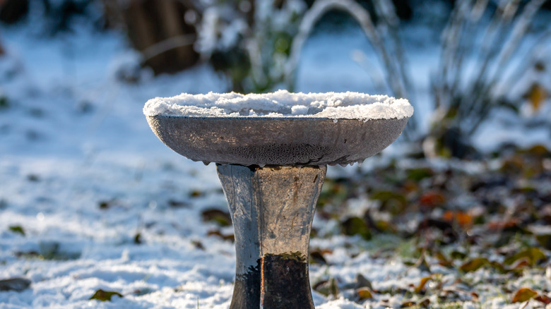 snowy bird bath in sun
