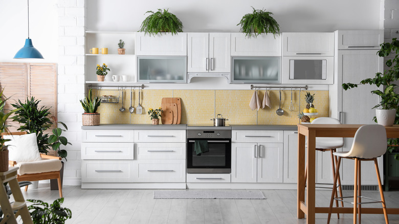 Ferns above kitchen cabinets