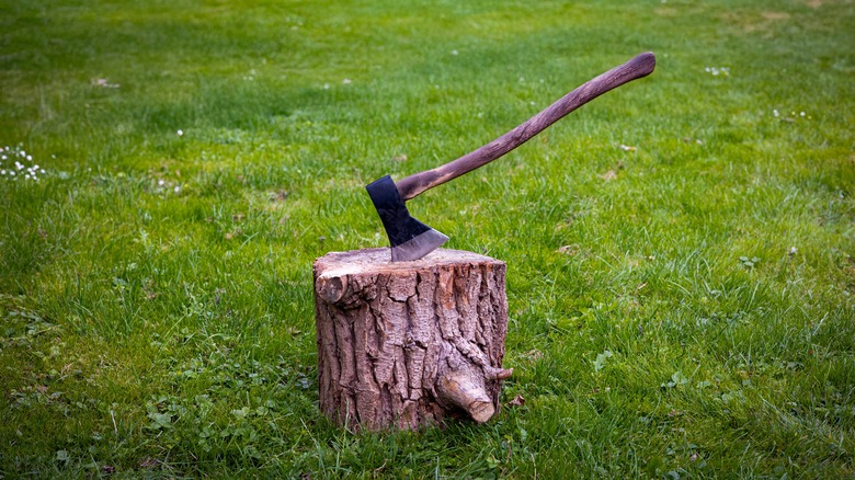 a metal axe in a tree stump on green grass