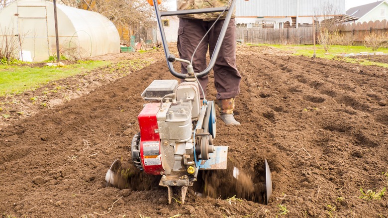 gardener tilling soil