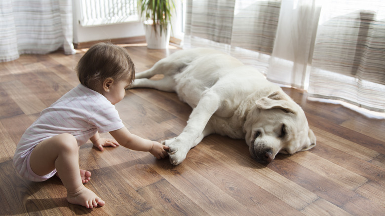 Bambino che gioca con il cane sul pavimento